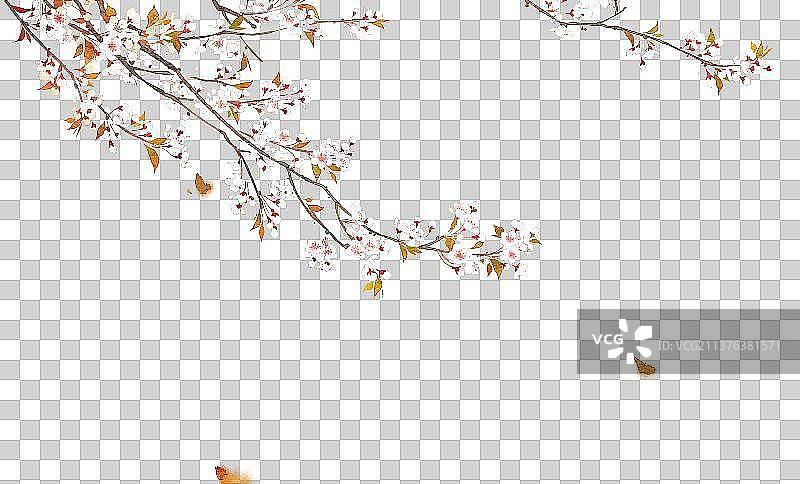 植物素材紫叶李图片素材