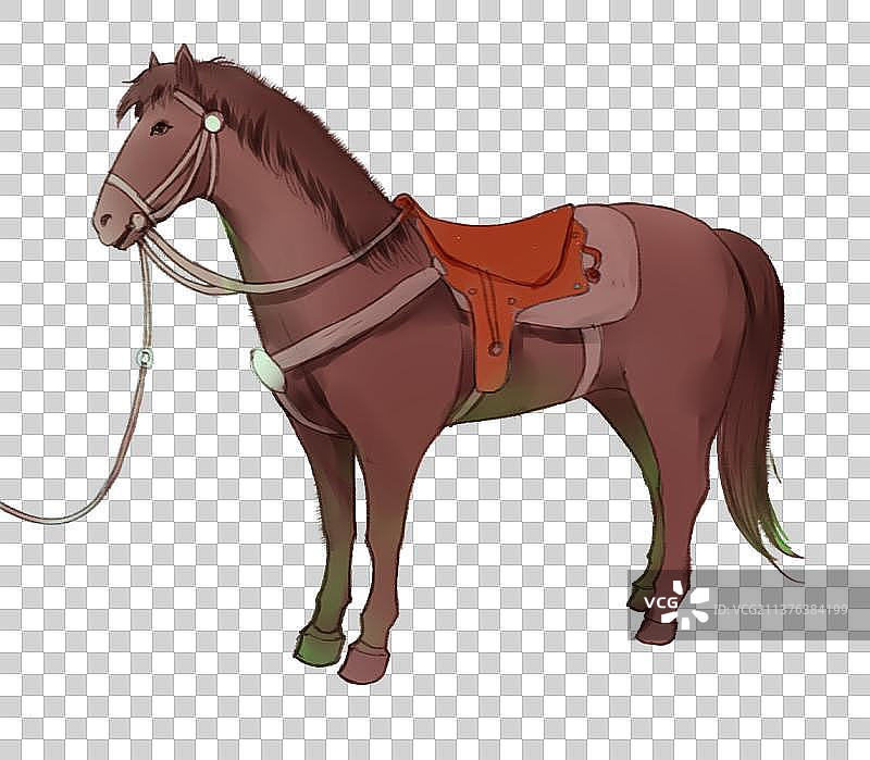 动物素材马图片素材