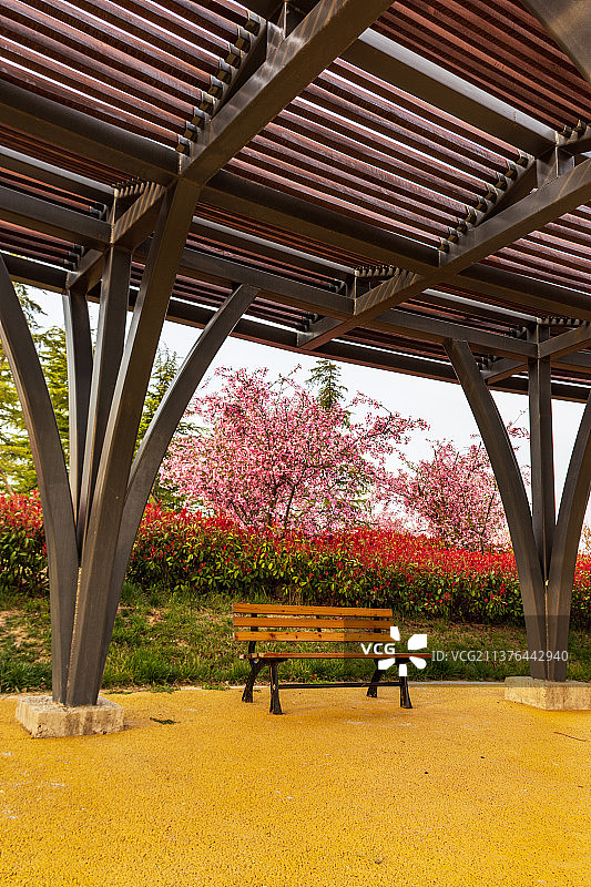 虚位以待佳人来22.4-5357图片素材