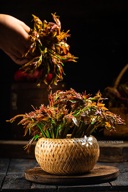 美食摄影  |  香椿图片素材