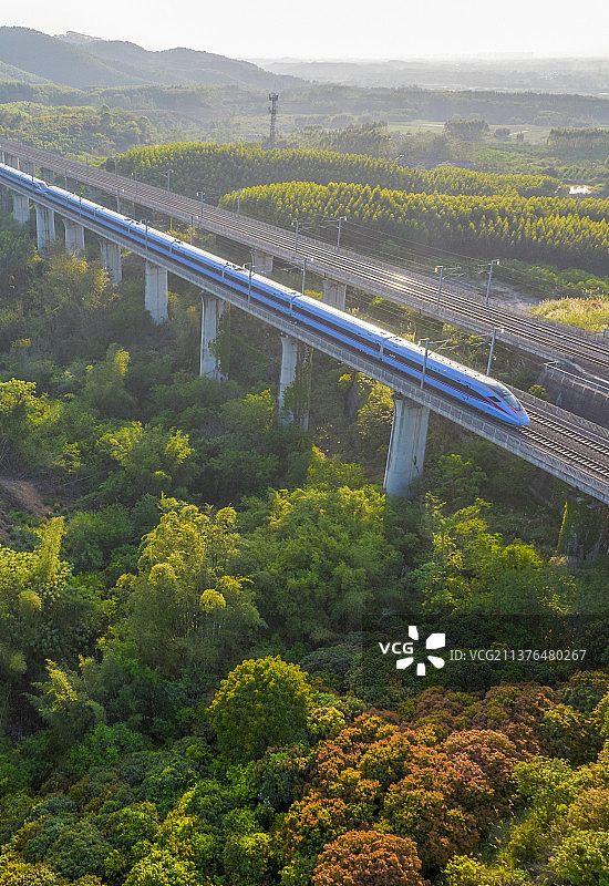 竖构图前进中的动车（列车）图片素材