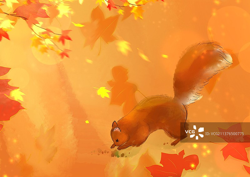 红色背景下的红叶与落叶图片素材