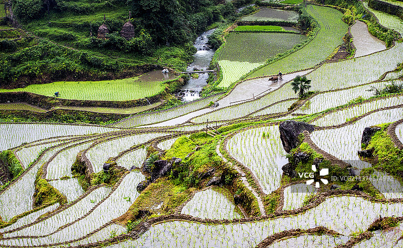 春天耕地梯田图片素材