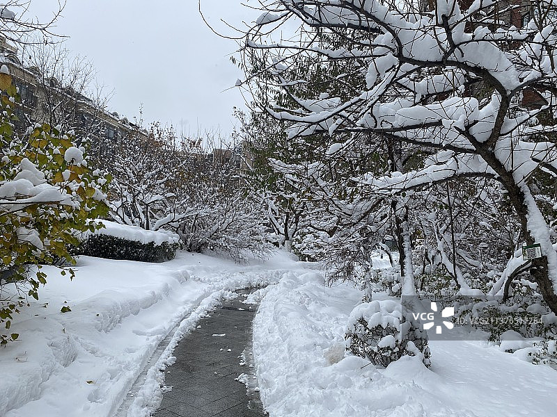 冰雪覆盖的自然风光图片素材
