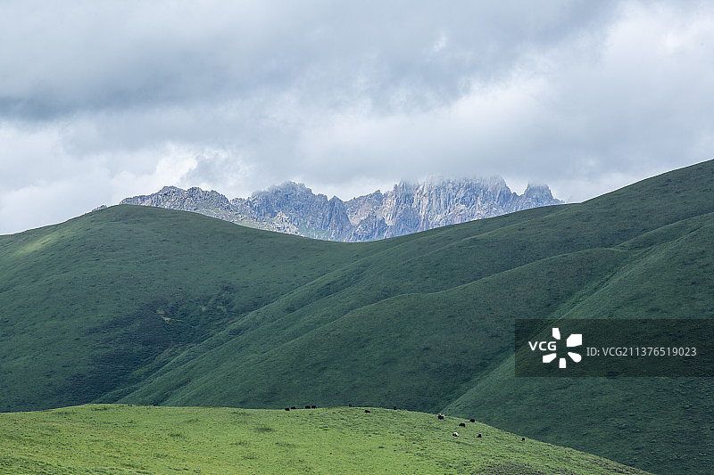 西藏牧场、山峦起伏、草场、牧民、壮观、大气、山、山谷、无人、荒野、草地、绿色、汽车广告、自驾、图片素材