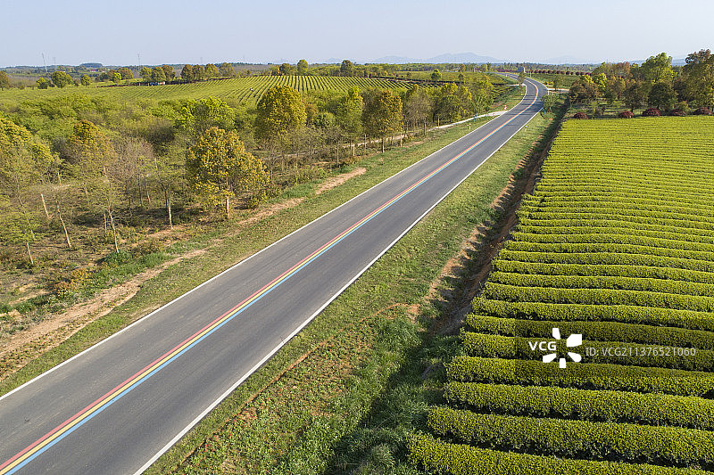 航拍中国安徽省宣城市郎溪县十字铺茶场茶园风光图片素材