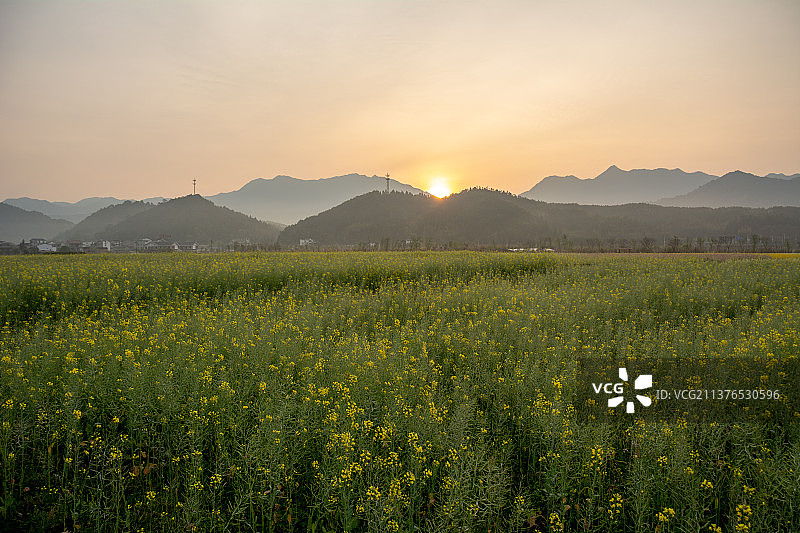 福建省武夷山市五夫镇风光 南平市 武夷山 五夫镇 油菜花 春天  春暖花开图片素材
