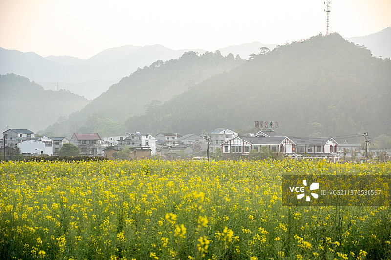 福建省武夷山市五夫镇风光 南平市 武夷山 五夫镇 油菜花 春天  春暖花开图片素材