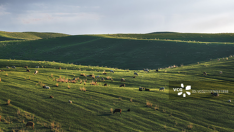 新疆美景赛里木湖那拉提草原独库公路大峡谷风情图片素材