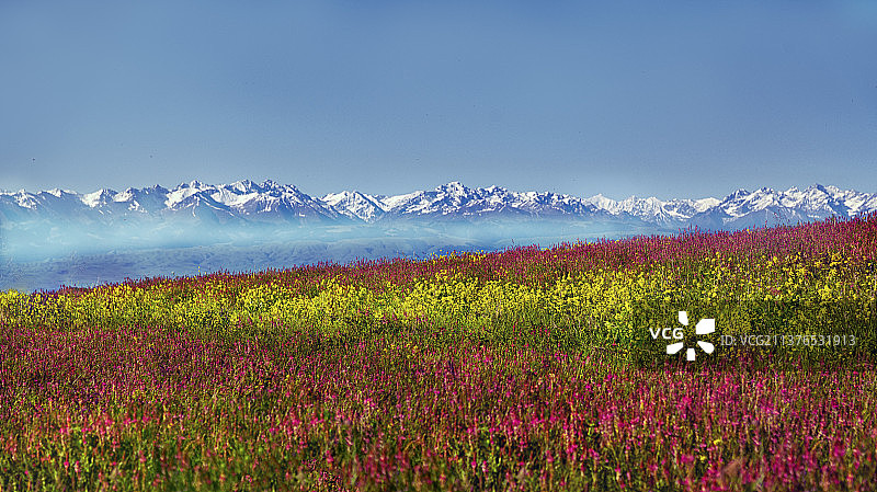 新疆美景赛里木湖那拉提草原独库公路大峡谷风情图片素材