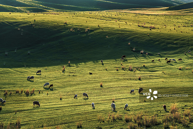 新疆美景赛里木湖那拉提草原独库公路大峡谷风情图片素材