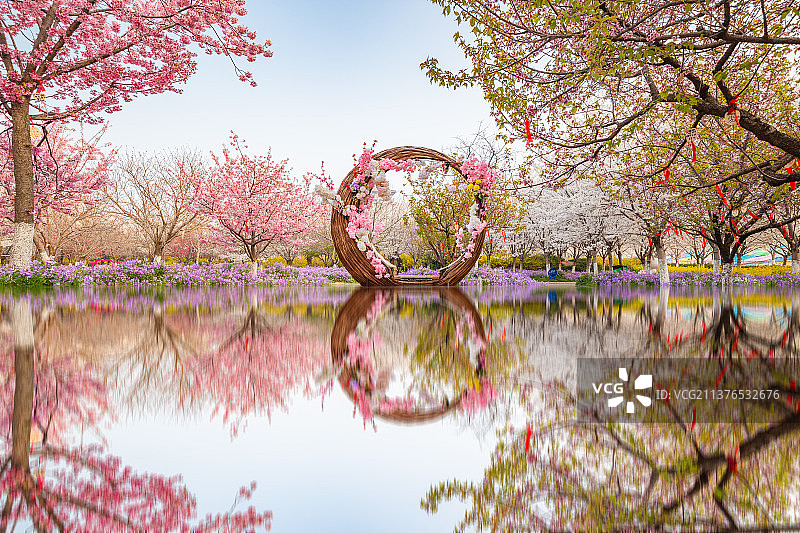亚洲中国河南郑州樱花园风光网红打卡地图片素材