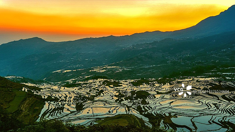 多依树之晨图片素材