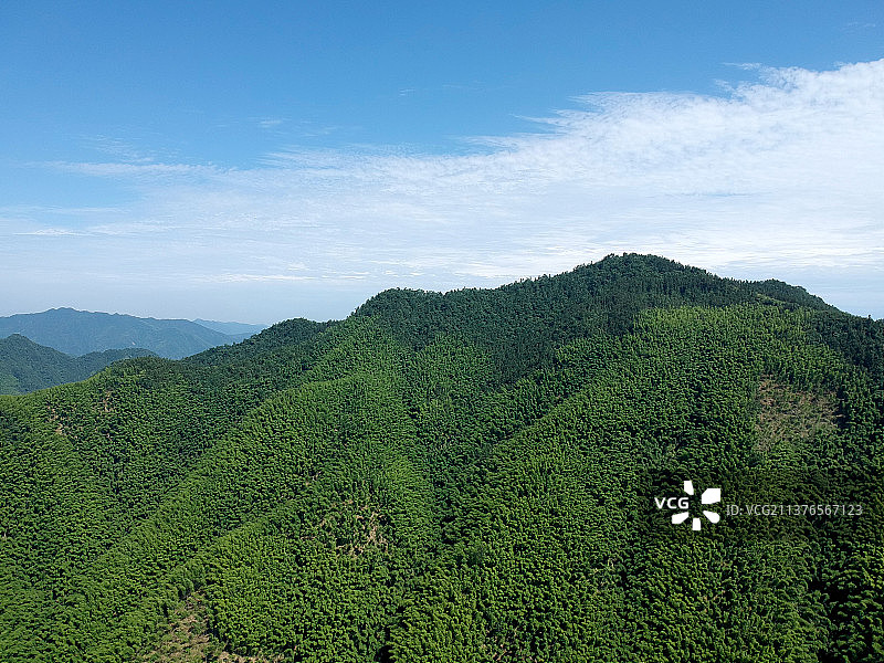 航拍木坑竹海图片素材