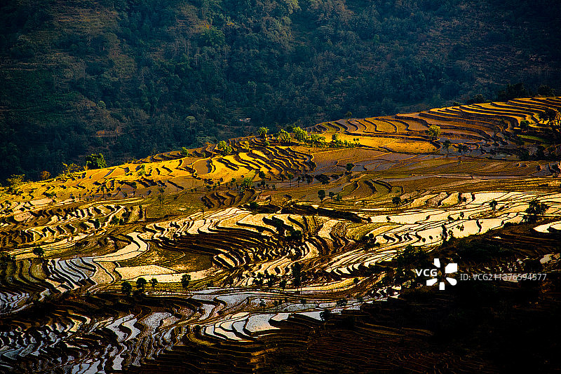 云南省红河县撒马坝梯田图片素材