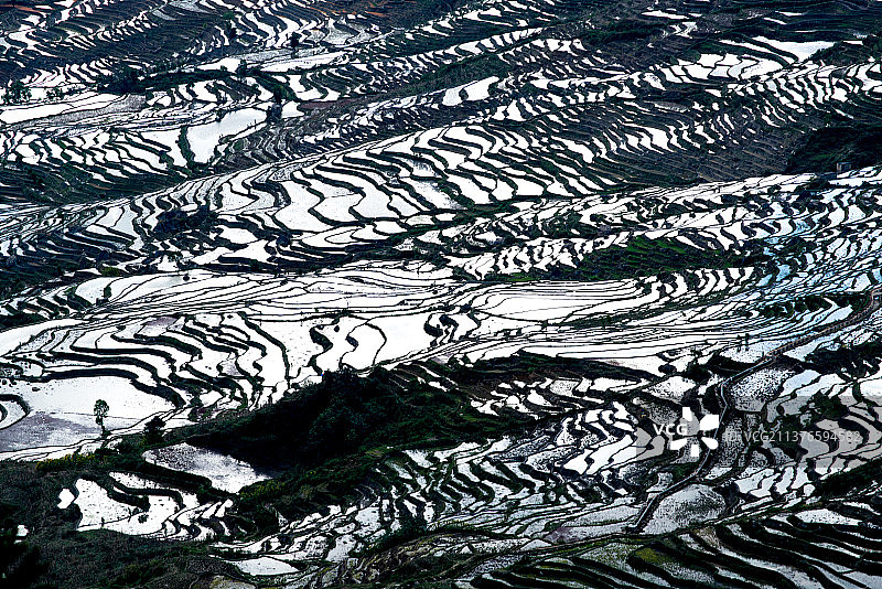 云南省红河县撒马坝梯田图片素材