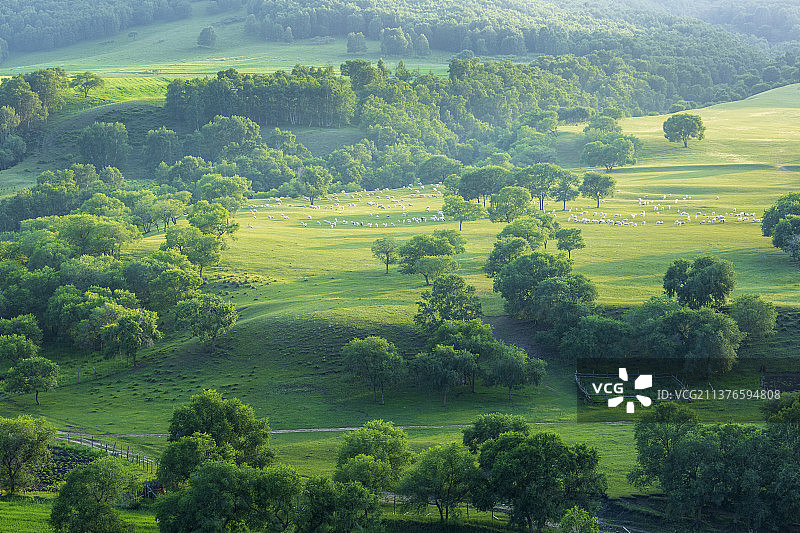 牧羊曲——内蒙古   赤峰市   克什克腾旗  乌兰布统 蛤蟆坝图片素材