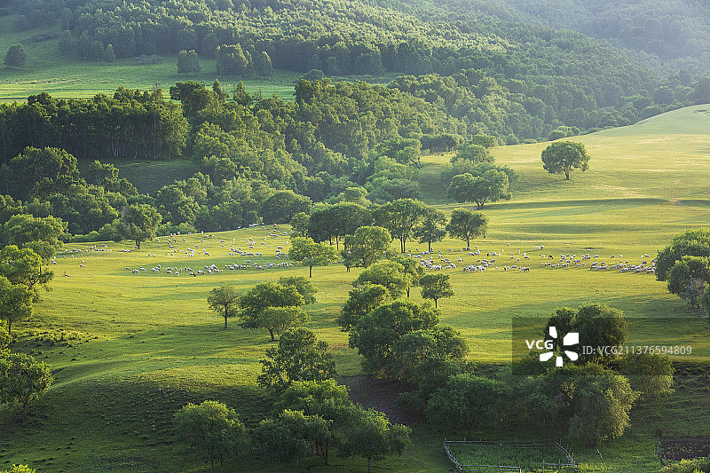 牧羊曲——内蒙古   赤峰市   克什克腾旗  乌兰布统 蛤蟆坝图片素材
