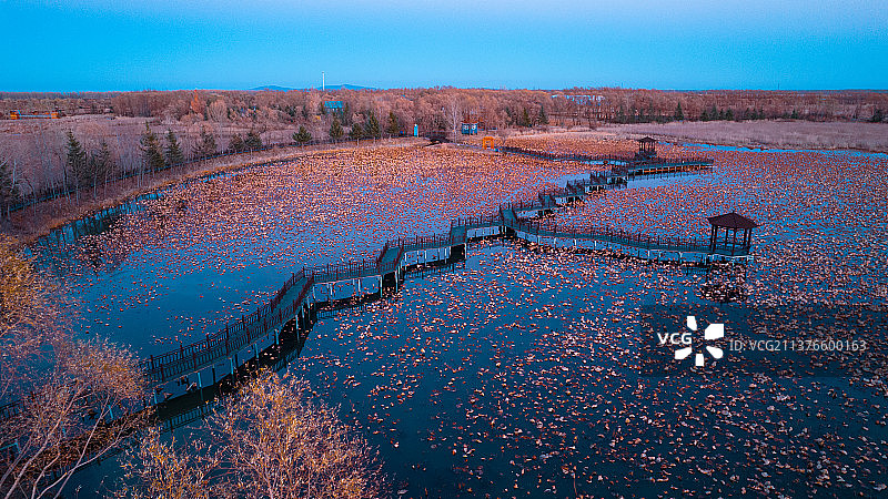 湿地公园图片素材