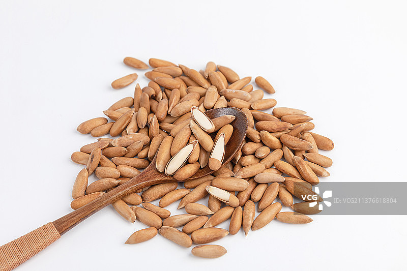 巴西松子图片素材