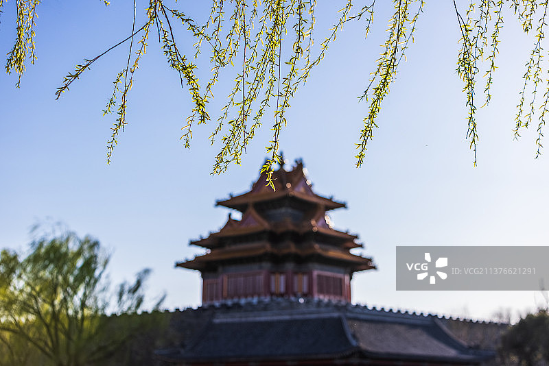春日故宫博物馆角楼和发出新芽的柳树图片素材