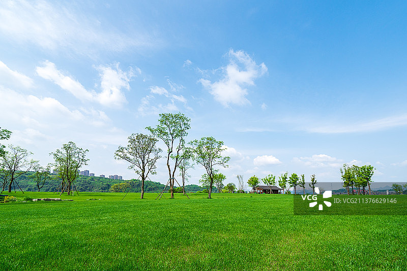 重庆广阳岛超大草坪图片素材