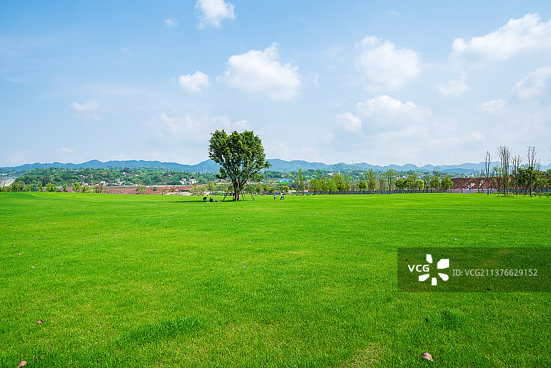 重庆广阳岛超大草坪图片素材