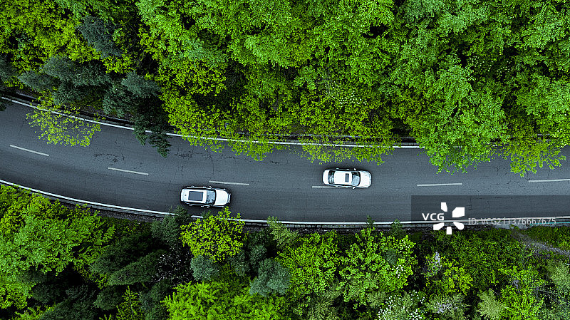 初春 都江堰蒲虹路图片素材