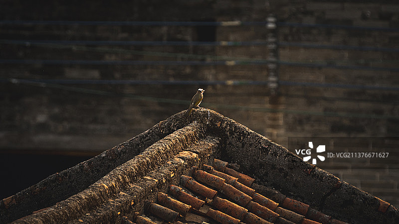 日落下的镬耳屋图片素材