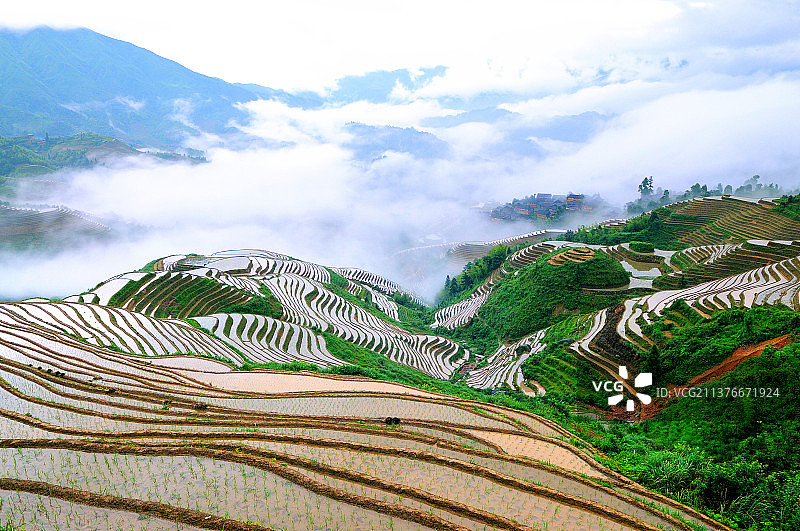龙脊梯田图片素材