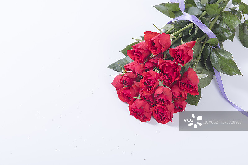 一束多头玫瑰特写白色背景图片素材