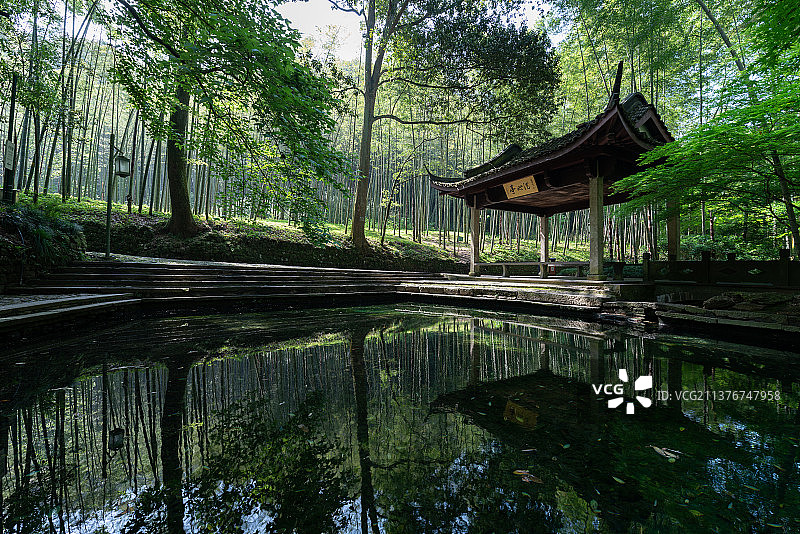 浙江杭州西湖云栖竹径图片素材