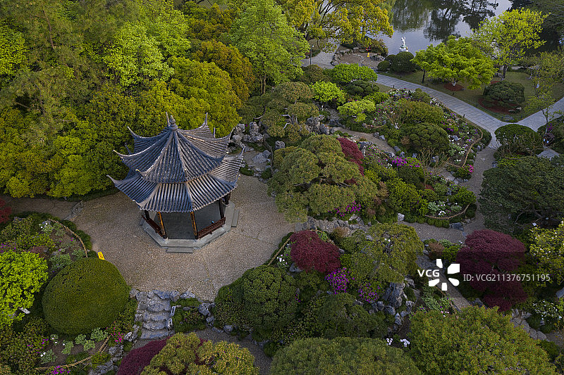 浙江杭州西湖花港公园晨曦航拍图片素材