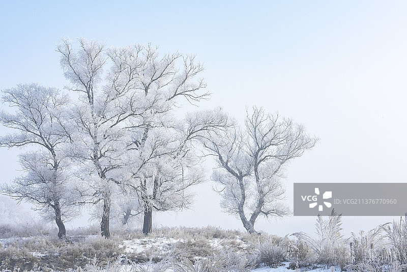 中国吉林省雾凇岛冬季雾凇风光图图片素材