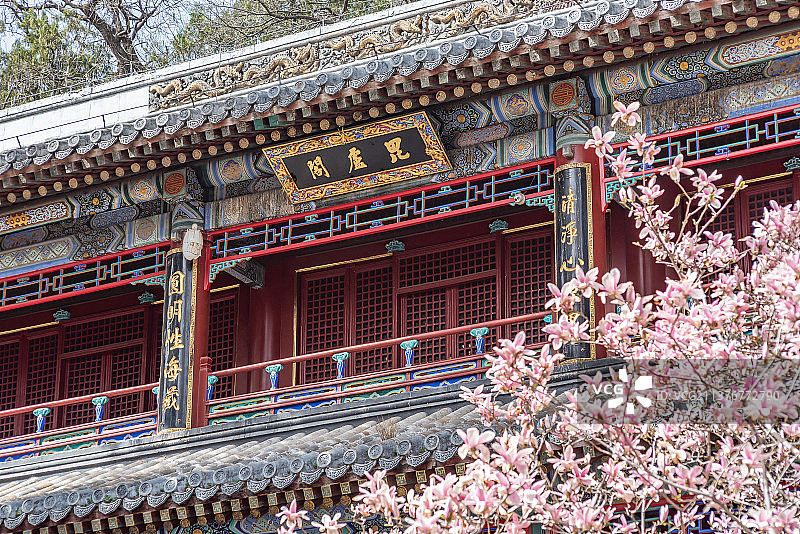春天北京潭柘寺毗卢阁图片素材