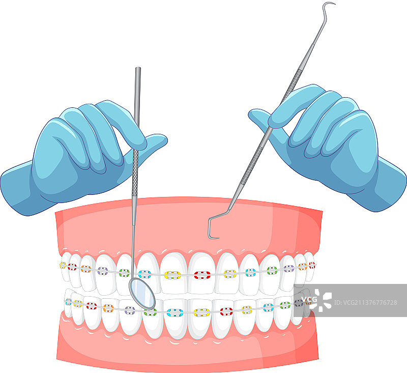 牙医手持人类牙齿矫正模型图片素材