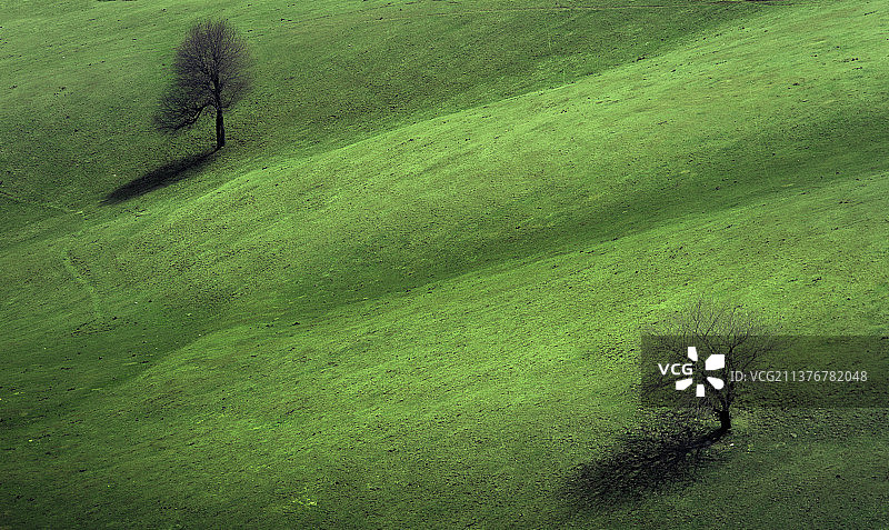 关山牧场图片素材