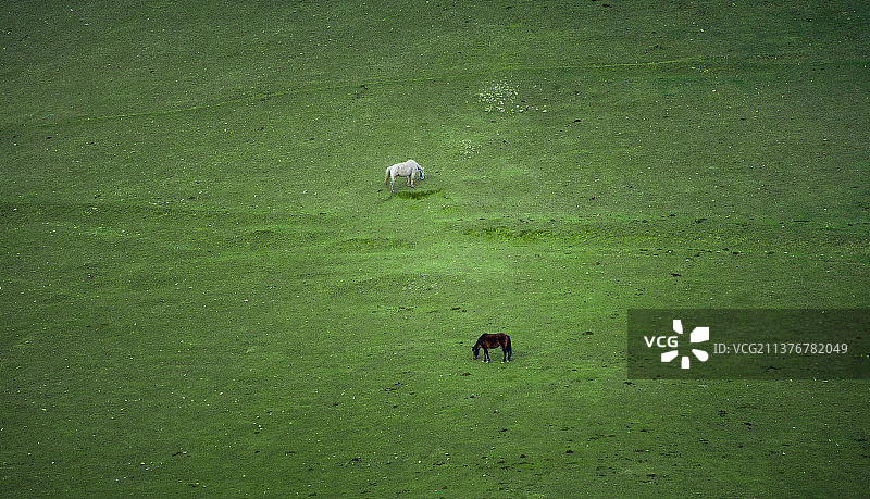 关山牧场图片素材