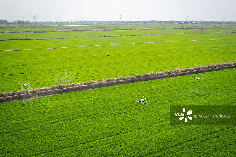 麦田无人机喷洒农药图片素材