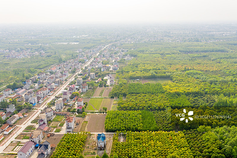 航拍上海崇明岛村落图片素材