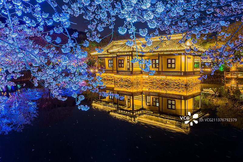 无锡市太湖鼋头渚风景区樱花季赏樱楼和长春桥灯光秀表演图片素材