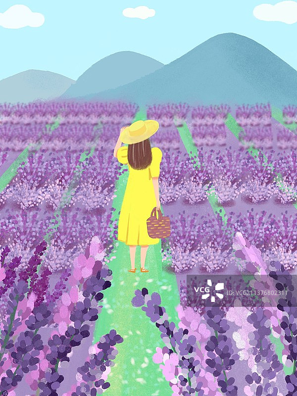 二十四节气之夏至图片素材