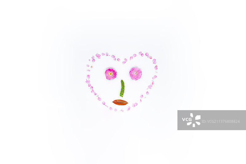 中国野生植物影棚拍摄拍摄主题，用各种鲜花的花瓣和嫩枝排列组合的人脸形状和心型，室内无人图像摄影图片素材