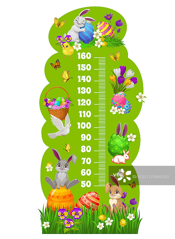 复活节兔子生长计儿童身高表图片素材