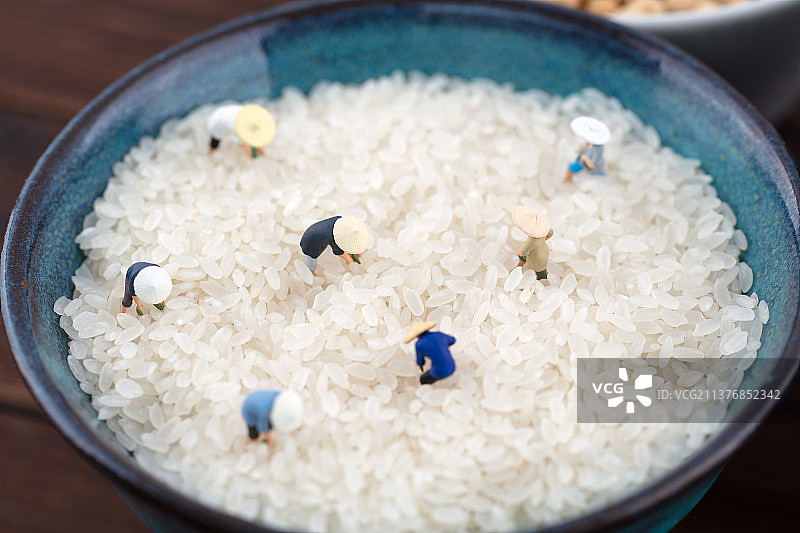微缩创意在大米上劳动的农民图片素材