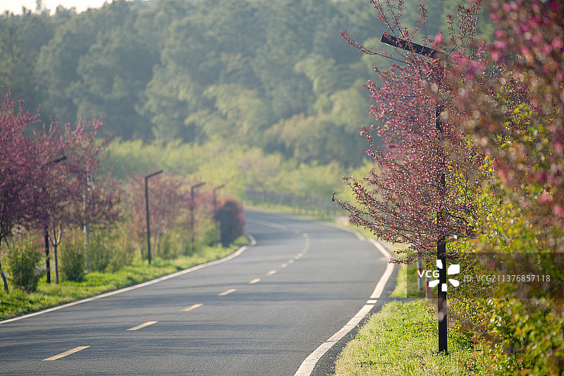 乡村公路图片素材