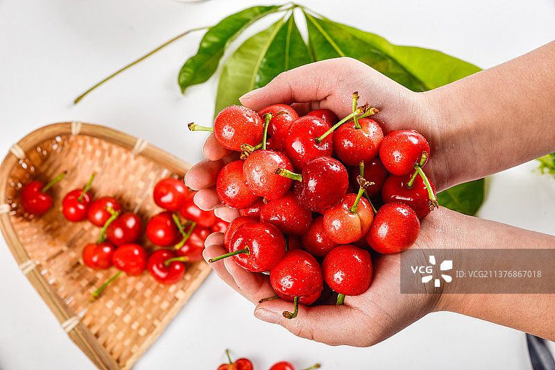 手捧烟台大樱桃红灯车厘子图片素材