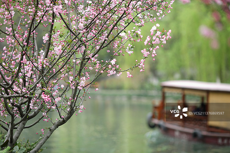 江南风光春天景色图片素材