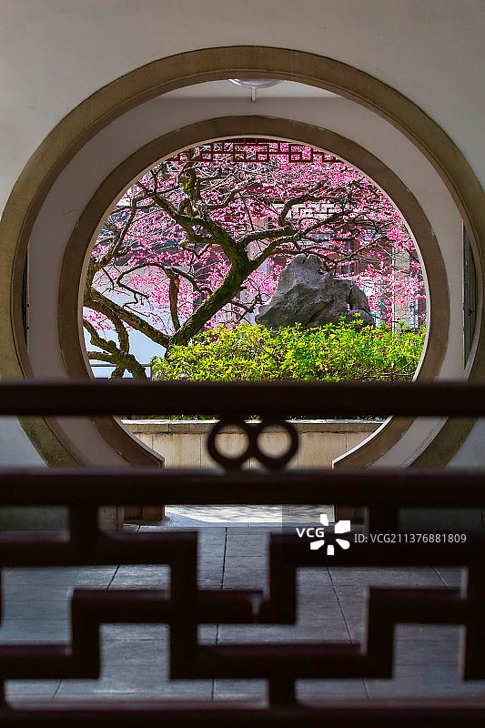 满园春色关不住图片素材