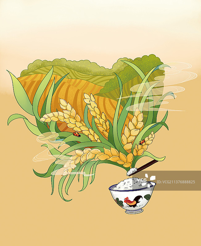 大米农田田野稻米插画图片素材
